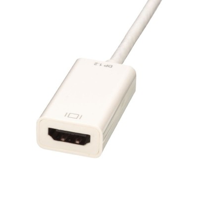Lindy 41729 cavo e adattatore video 0,15 m HDMI DisplayPort Bianco Lindy 41729 cavo e adattatore video 0,15 m HDMI DisplayPort Bianco
