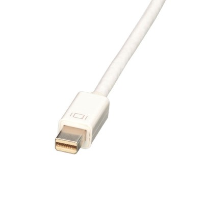 Lindy 41729 cavo e adattatore video 0,15 m HDMI DisplayPort Bianco Lindy 41729 cavo e adattatore video 0,15 m HDMI DisplayPort Bianco