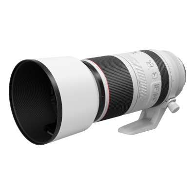 Canon Obiettivo RF 100-500mm F4.5-7.1L IS USM
