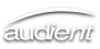 Audient